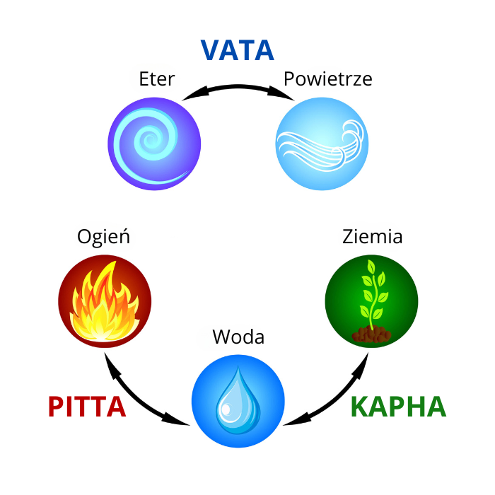 rysunek vata pitta kapha
